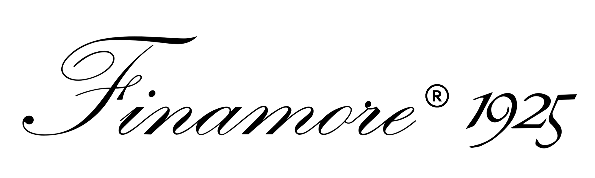 Finamore logo image